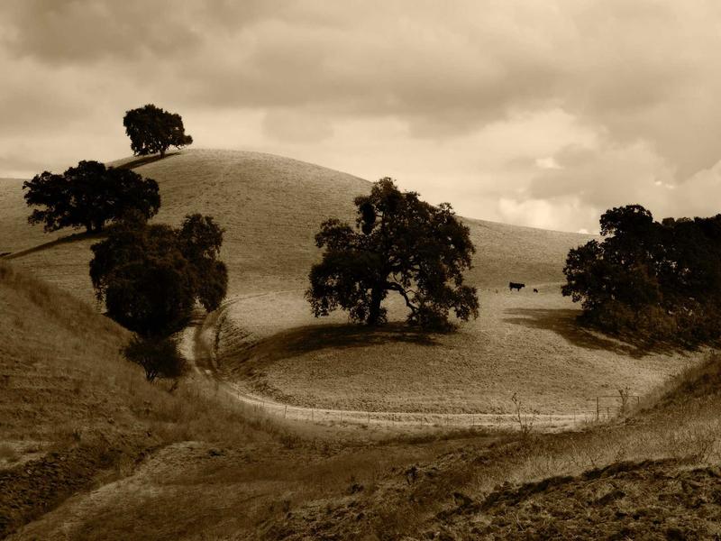 sudoku coloring method screenshot 5