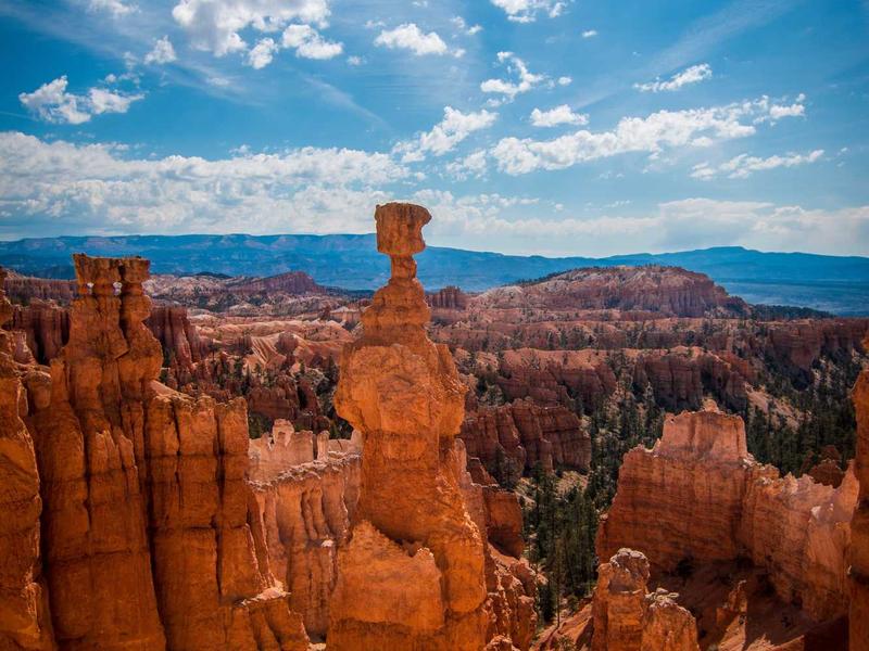 sudoku coloring method screenshot 6