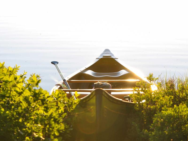 sudoku coloring method screenshot 4